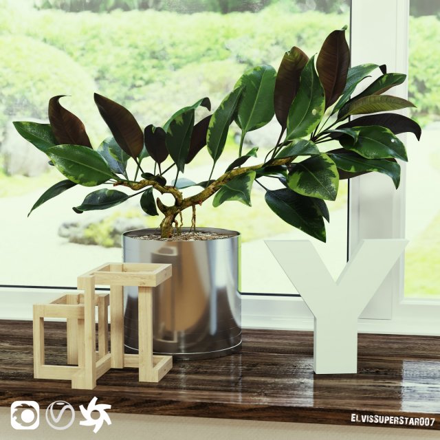 ficus Model 3D .c4d .max .obj .3ds .fbx .stl .blend 