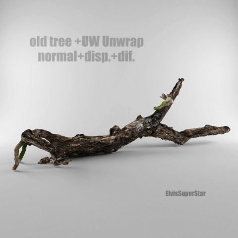 old tree Model 3D .c4d .max .obj .3ds .fbx .stl .blend 