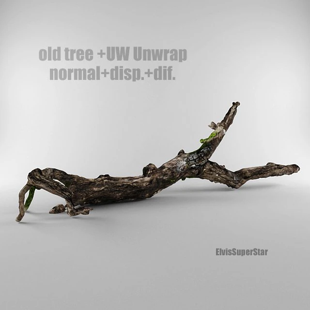 old tree 3D Model .c4d .max .obj .3ds .fbx .stl .blend