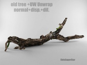 old tree 3D Model