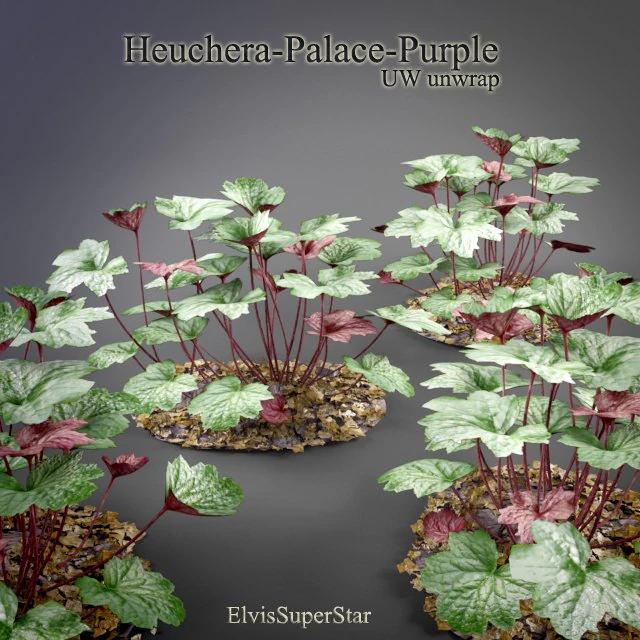heuchera palace purple 3D Model .c4d .max .obj .3ds .fbx .stl .blend