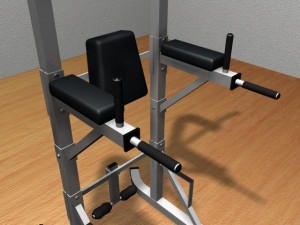 gym bodyweight tower 3D Model