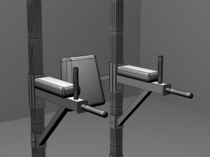 gym bodyweight tower 3D Model
