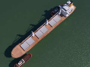 bulk carrier and tugboat 3D Model