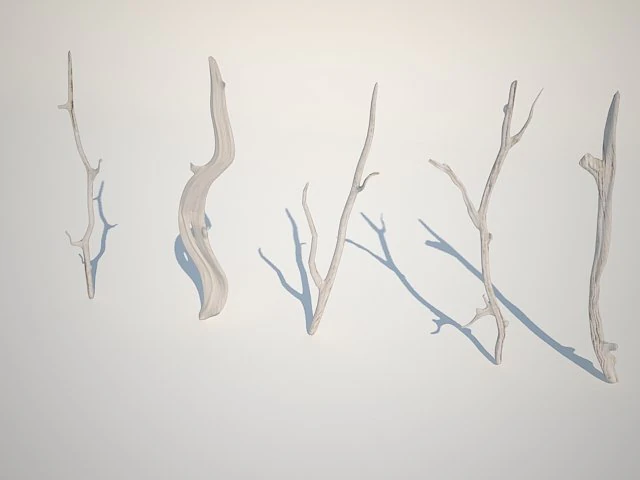 dry branches 3D Model .c4d .max .obj .3ds .fbx .stl .blend 