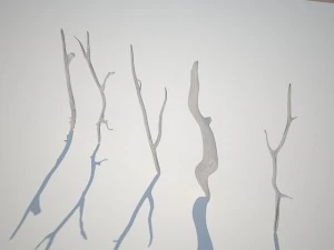 dry branches 3D Model