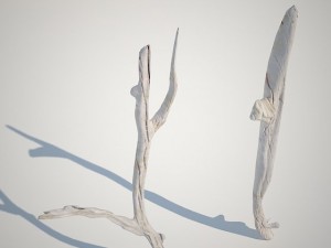 dry branches Model 3D