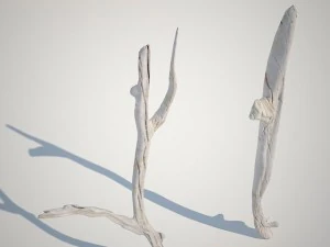 dry branches 3D Model