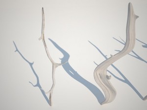 dry branches Model 3D