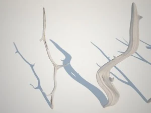 dry branches 3D Model