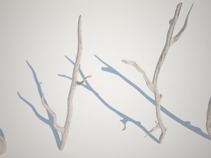 dry branches Model 3D