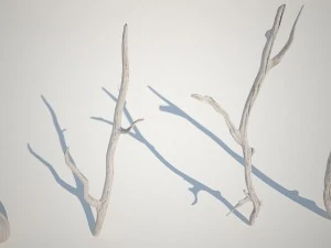 dry branches 3D Model