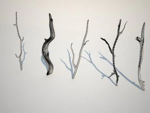 dry branches 3D Model