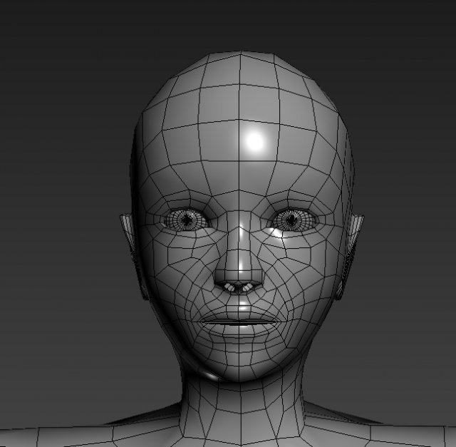 base mesh 3D Model .c4d .max .obj .3ds .fbx .stl .blend 
