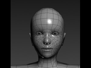 base mesh Modello 3D