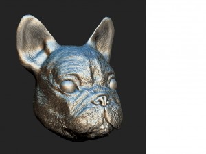 sculpted dog head 3D मॉडल