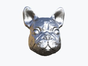 sculpted dog head 3D मॉडल