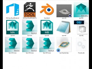 eye 3Dモデル