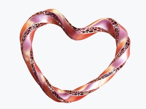 love heart Modello 3D