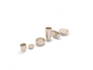 oak bowl Modello 3D