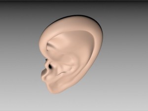 ear 3D Model