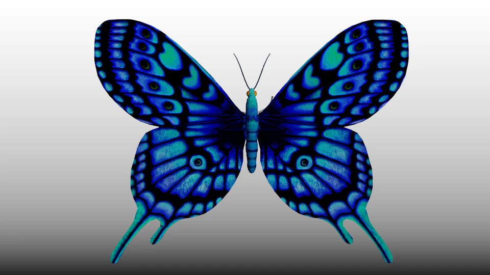 bluebutterfly 3D Model .c4d .max .obj .3ds .fbx .stl .blend 