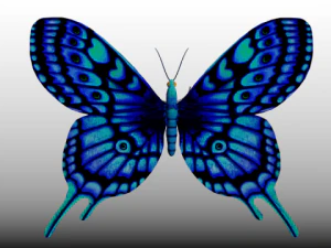 błękitny motyl Model 3D