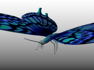 bluebutterfly 3D Модель