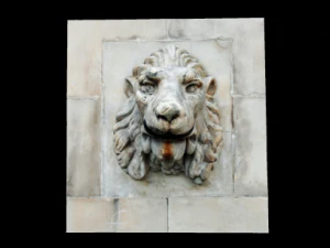 testa di leone Modello 3D