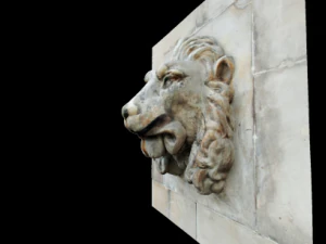 testa di leone Modello 3D