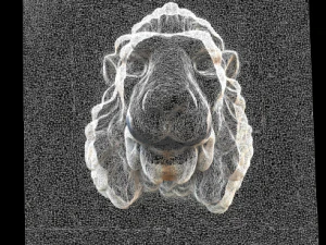 testa di leone Modello 3D