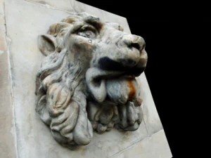 testa di leone Modello 3D