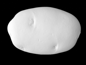 potato 3D Model