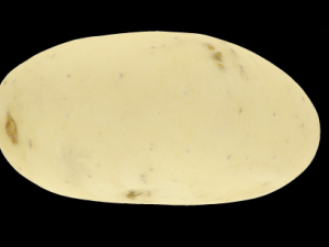 potato 3Dモデル