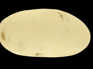 batata Modelo 3D