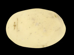 batata Modelo 3D