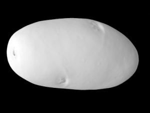 potato 3Dモデル
