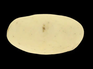 batata Modelo 3D