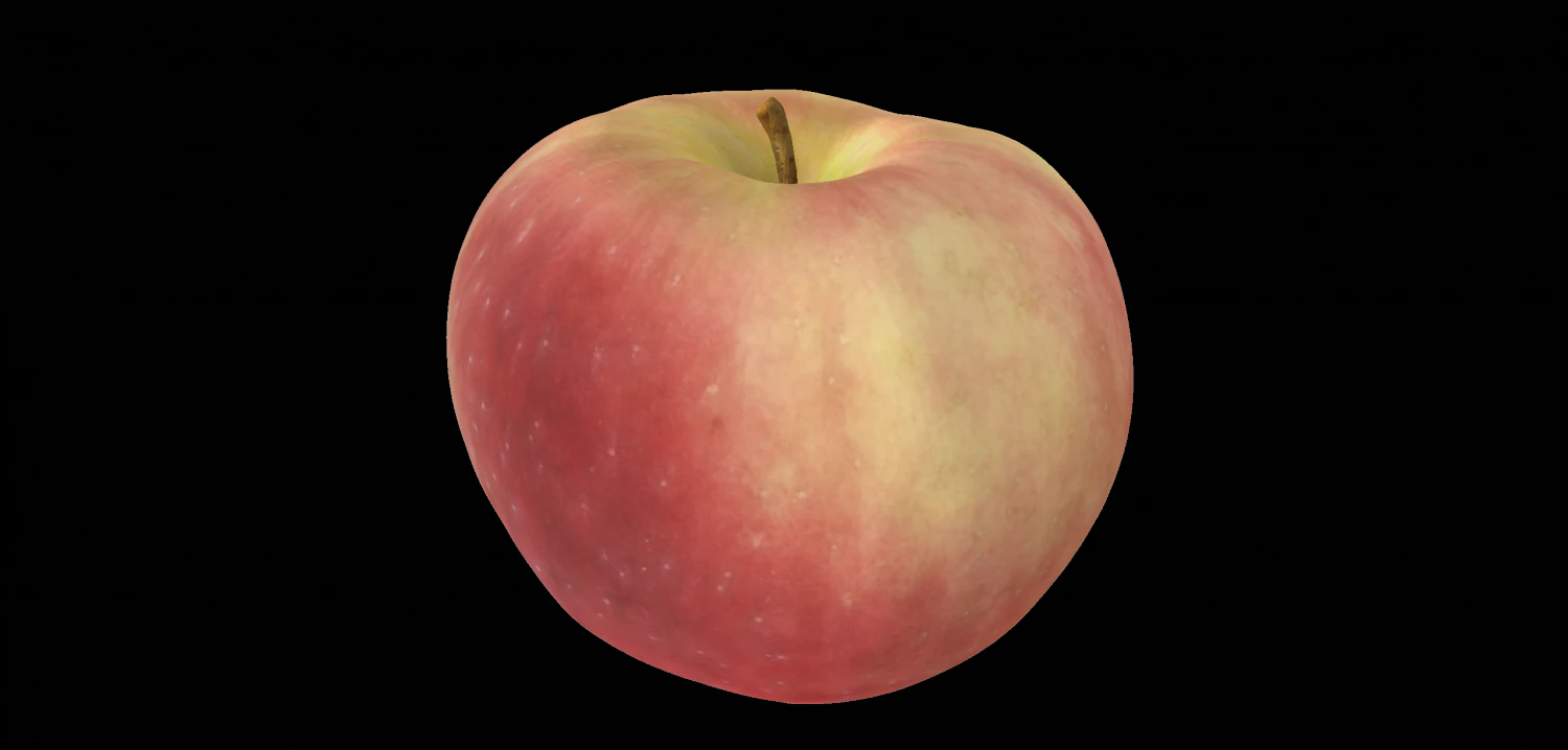apple 3D Model .c4d .max .obj .3ds .fbx .stl .blend