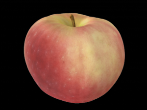 apple 3D Model