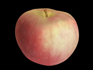 apple 3D Model