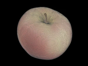 apple 3D Model