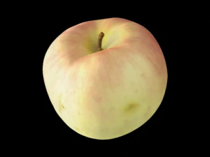 apple 3D Model