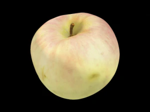 apple 3D Model