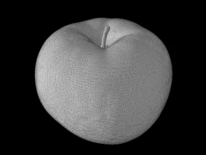 apple 3D Model