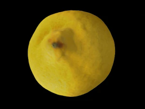 lemon 3D Model