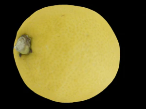 lemon 3D Model