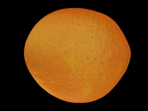 orange 3D Model