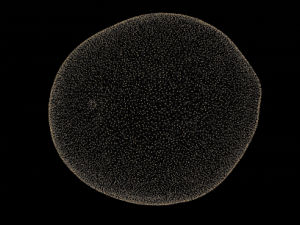 orange Modelo 3D
