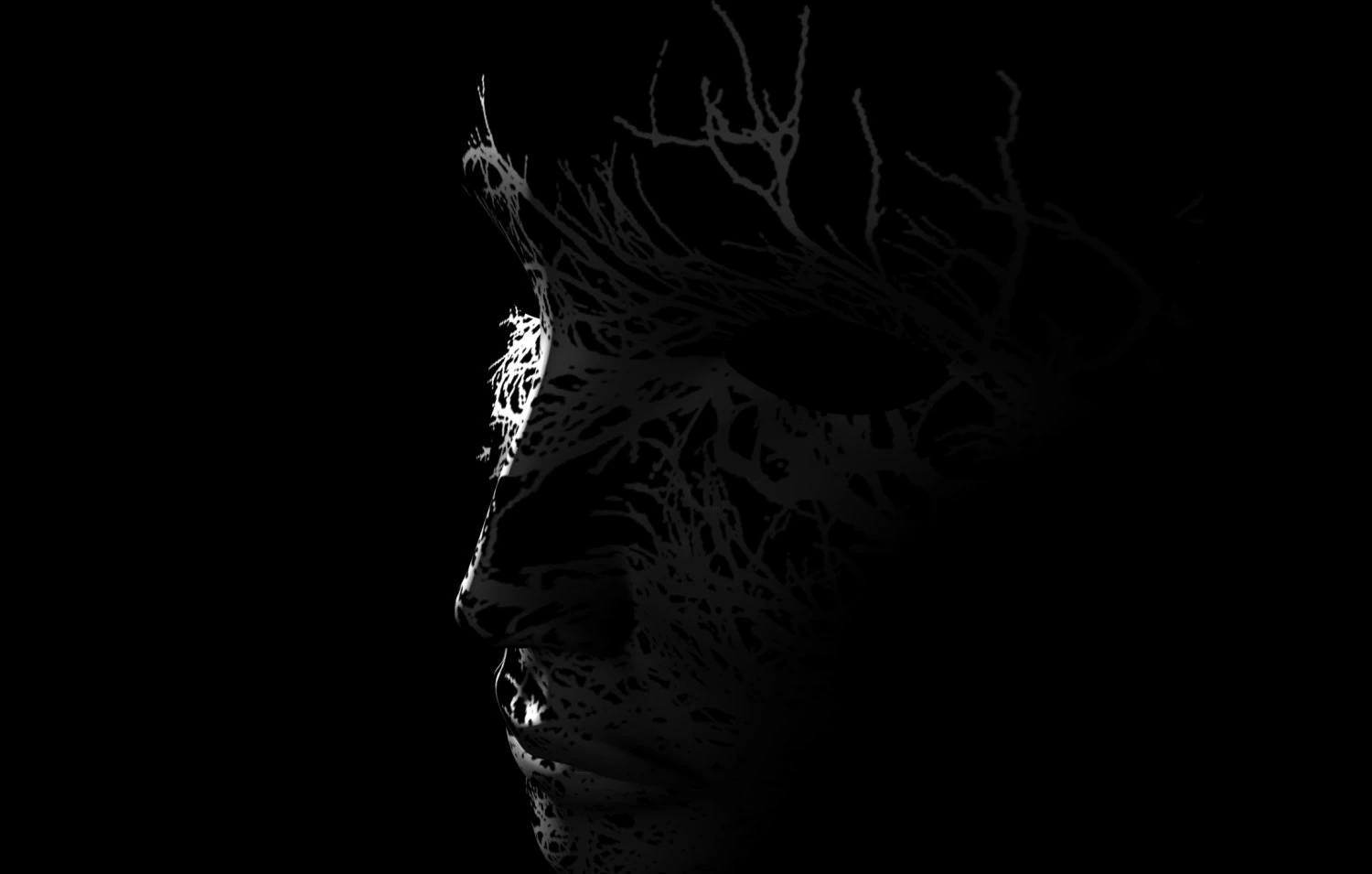 female face 3D Model .c4d .max .obj .3ds .fbx .stl .blend 